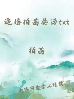 追婚柏菡晏沥txt