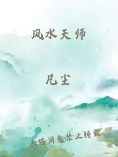 风水天师