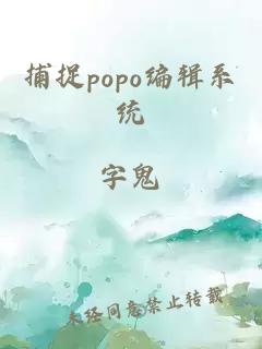 捕捉popo编辑系统