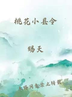 桃花小县令