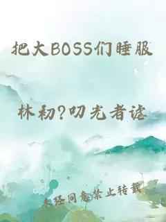 把大BOSS们睡服