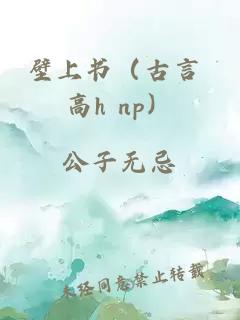 壁上书（古言 高h np）