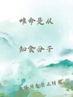 唯命是从