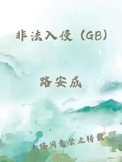 非法入侵 (GB)