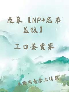 夜幕【NP+兄弟盖饭】