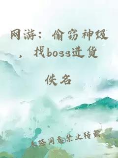 网游：偷窃神级，找boss进货