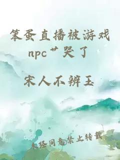 笨蛋直播被游戏npc艹哭了