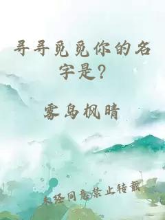 寻寻觅觅你的名字是?