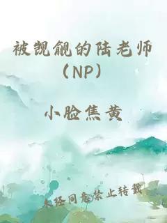 被觊觎的陆老师（NP）