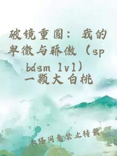 破镜重圆：我的卑微与骄傲（sp bdsm 1v1）