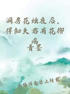 洞房花烛夜后，得知夫君有花柳病