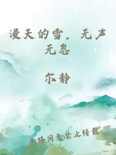 漫天的雪，无声无息