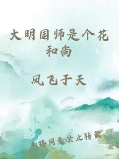 大明国师是个花和尚