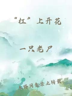 “杠”上开花