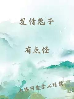 发情兔子