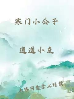 寒门小公子