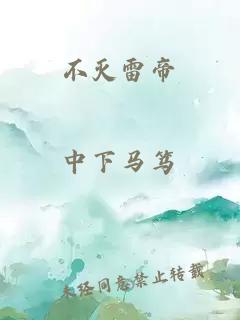 不灭雷帝