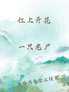 杠上开花