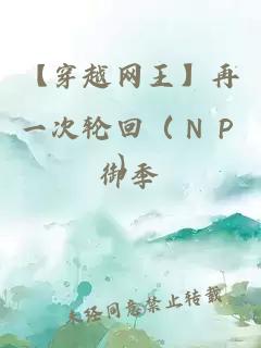 【穿越网王】再一次轮回（ＮＰ）